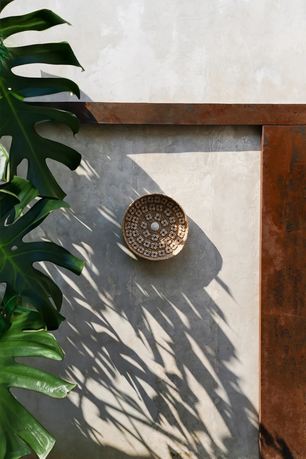 The Caribe Shell Plate - Natural White - M_40