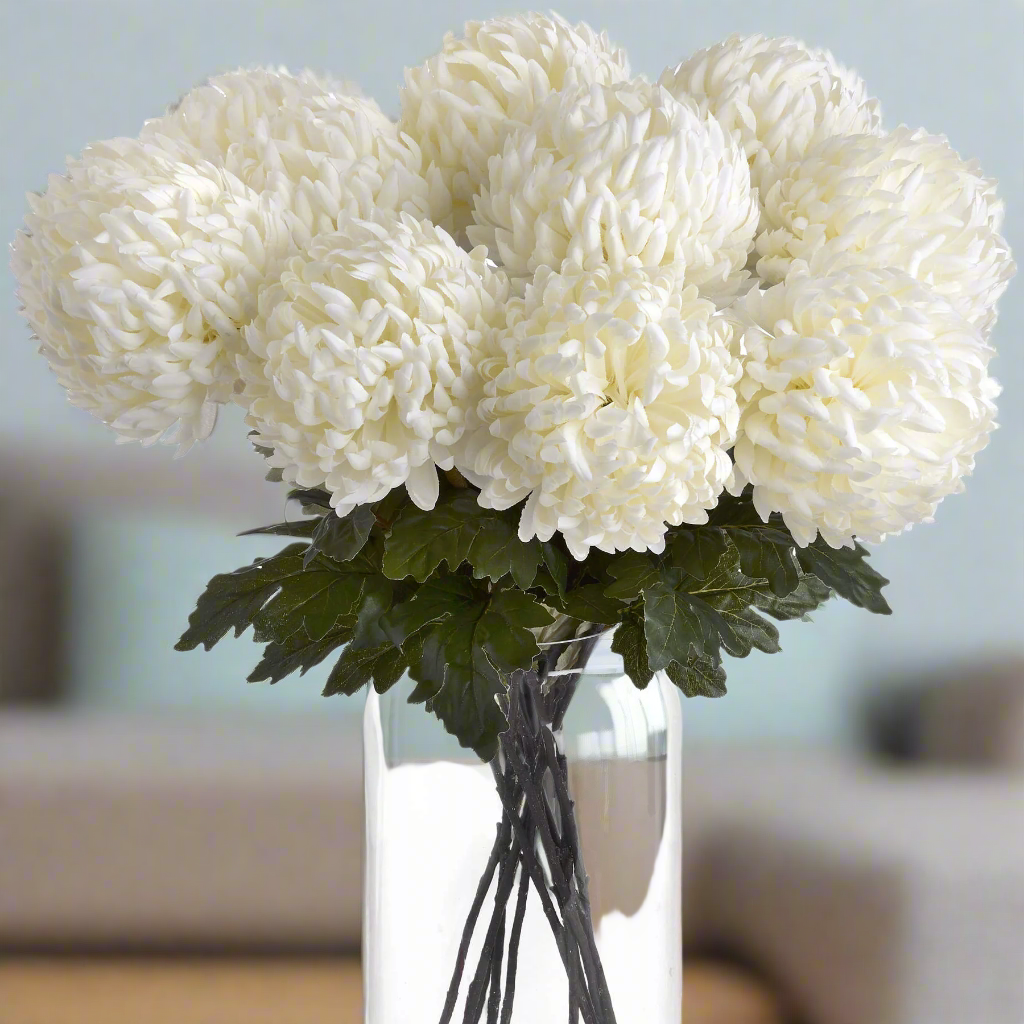 Large White Chrysanthemum