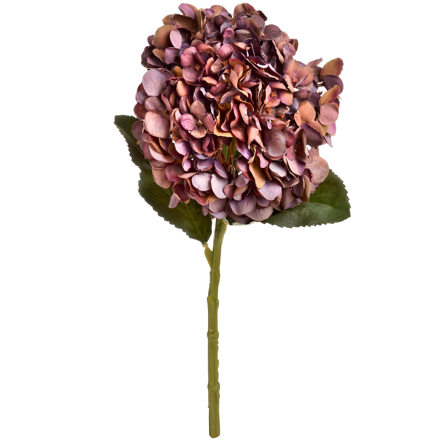 Anastasia Coffee Hydrangea - - Hill Interiors -