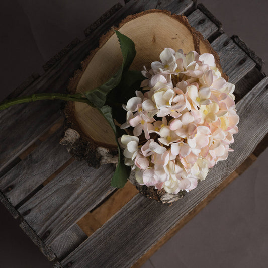 Anastasia White Hydrangea - - Hill Interiors -