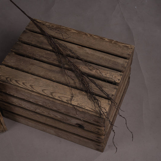 Asher Branch Spray - - Hill Interiors -