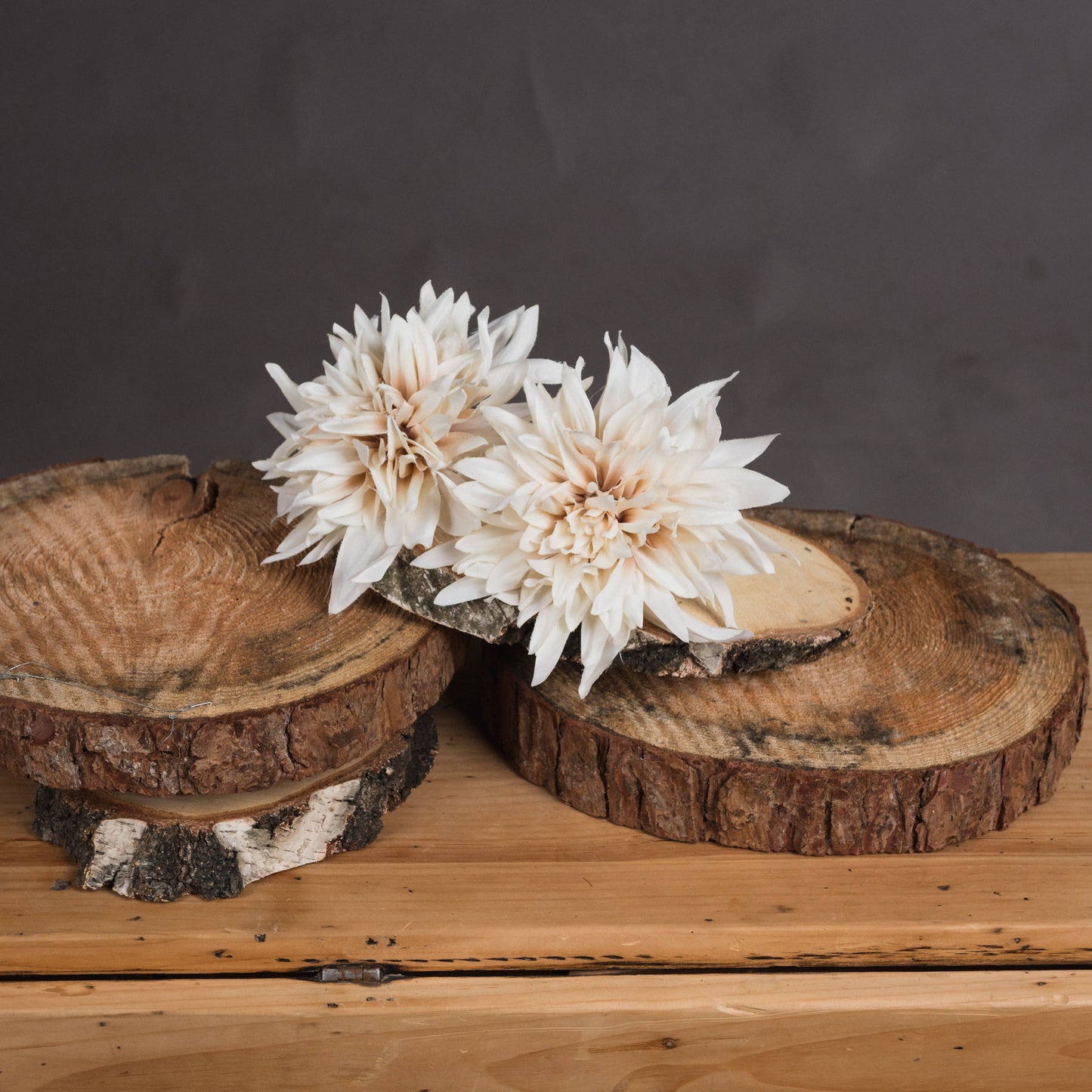 Cream Dahlia