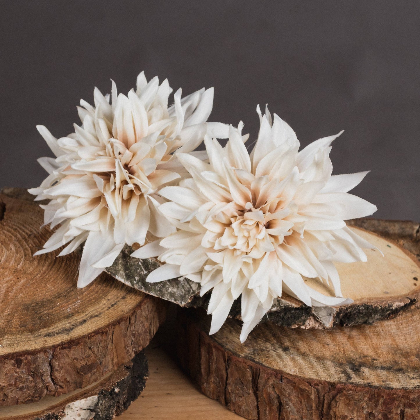 Cream Dahlia