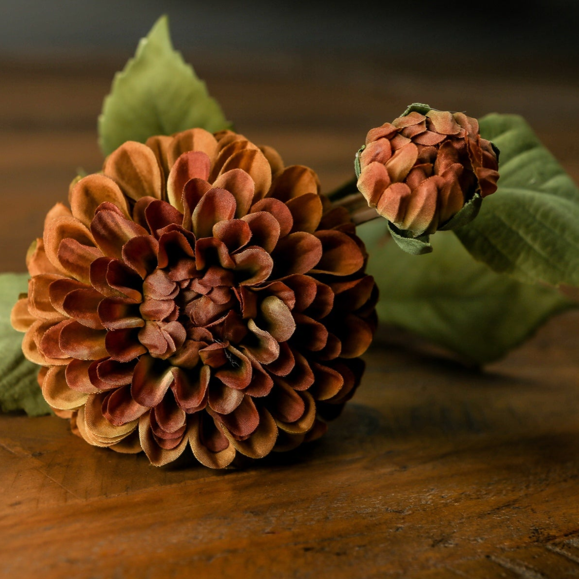 Deep Mustard Dahlia Stem