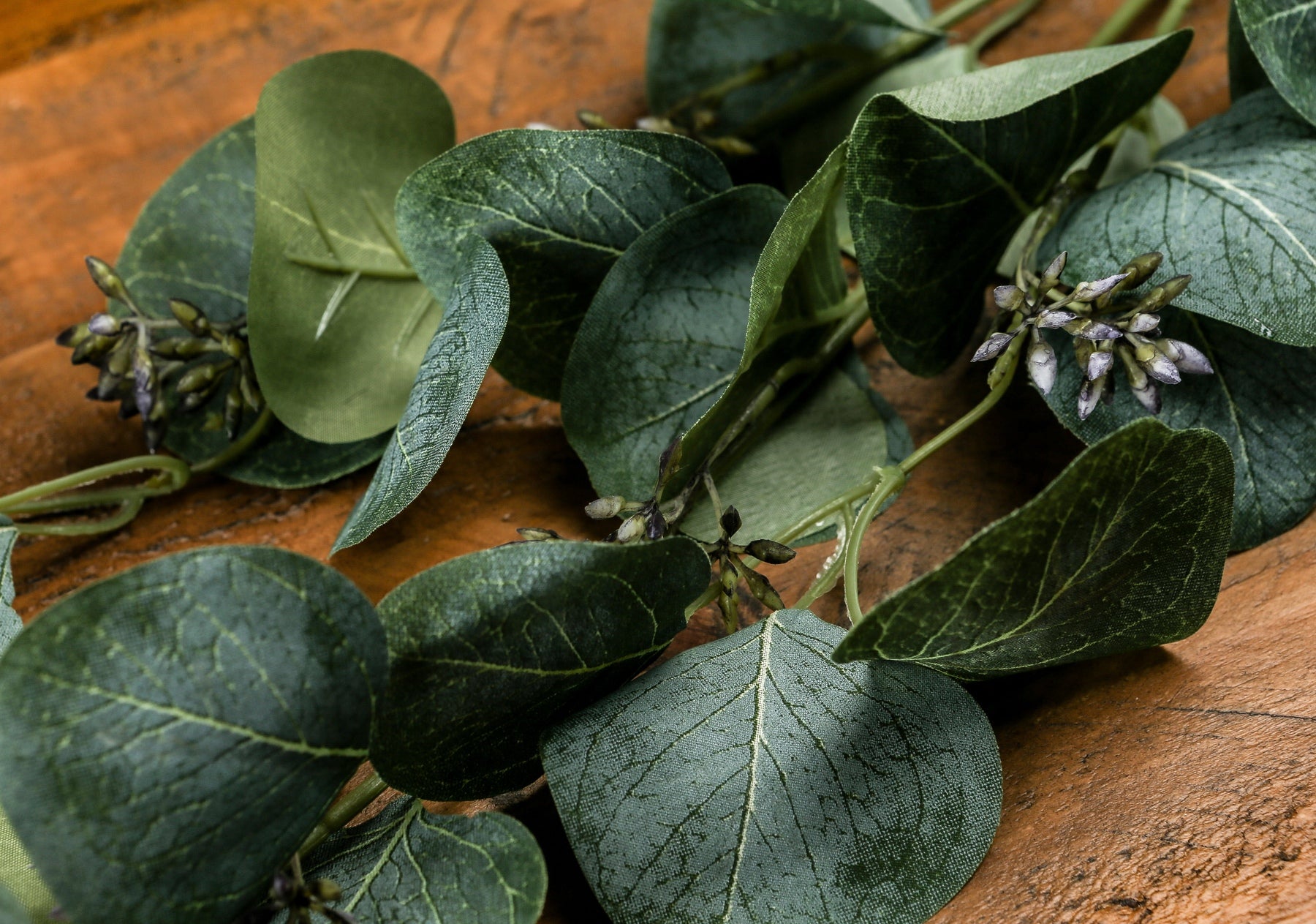 Eucalyptus Stem Spray -  - Hill Interiors -