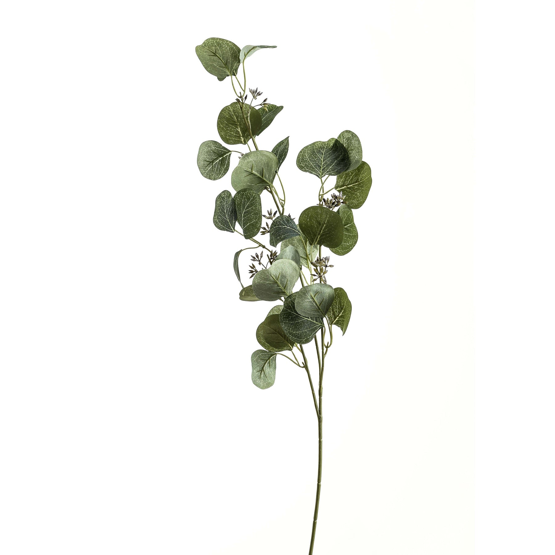 Eucalyptus Stem Spray -  - Hill Interiors -
