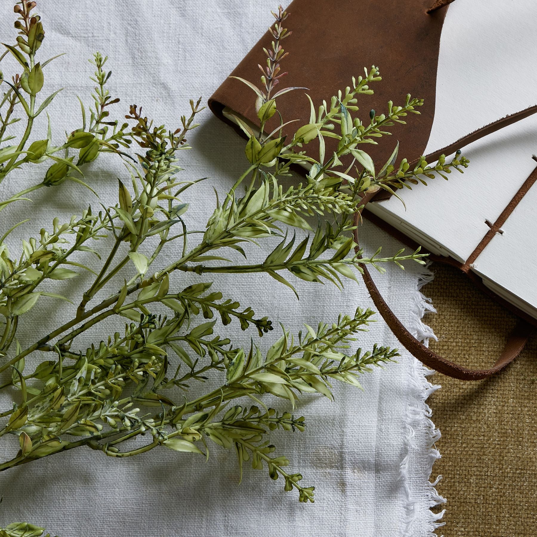 Broom Stem -  - Hill Interiors -