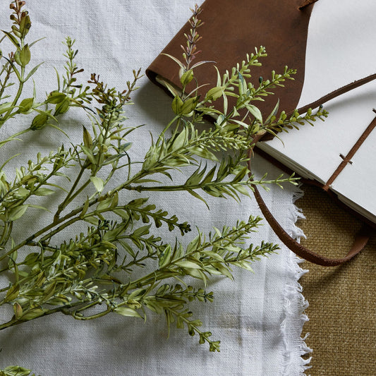 Broom Stem -  - Hill Interiors -