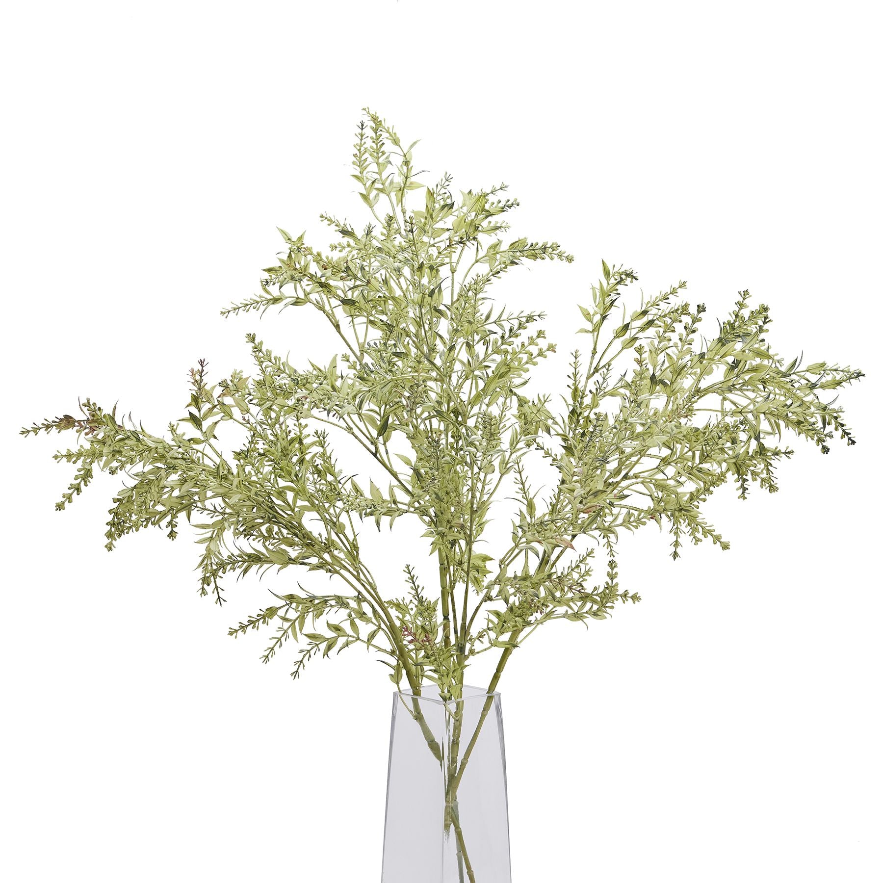 Broom Stem -  - Hill Interiors -