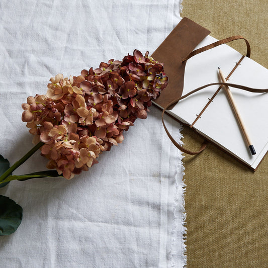 Burgundy Spear Hydrangea -  - Hill Interiors -