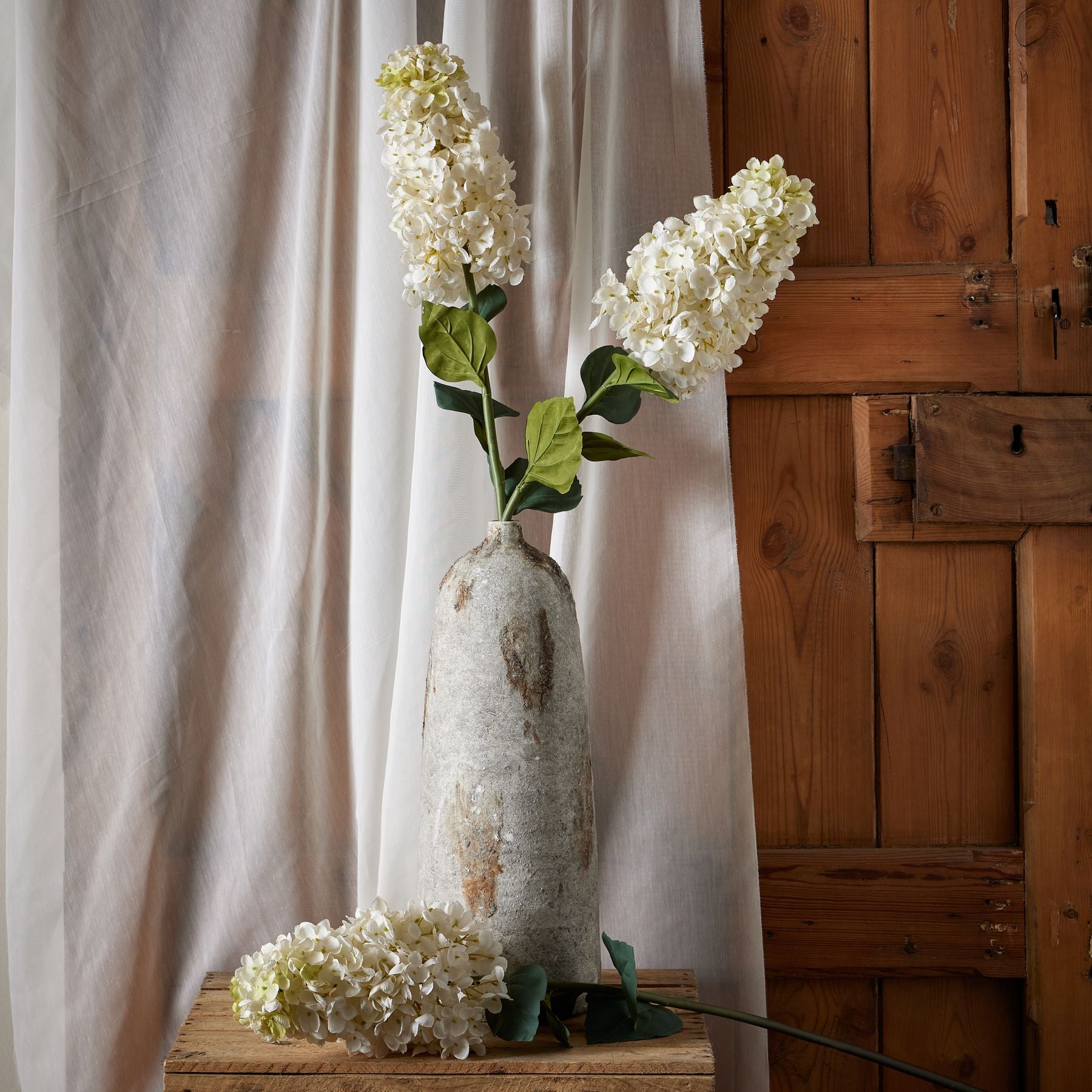 White  Spear Hydrangea -  - Hill Interiors -