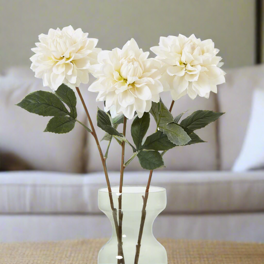 The Natural Garden Collection Tall White Dahlia