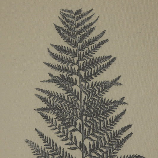 Flora Fauna Collection Beech Fern On Linen In Beaded Frame