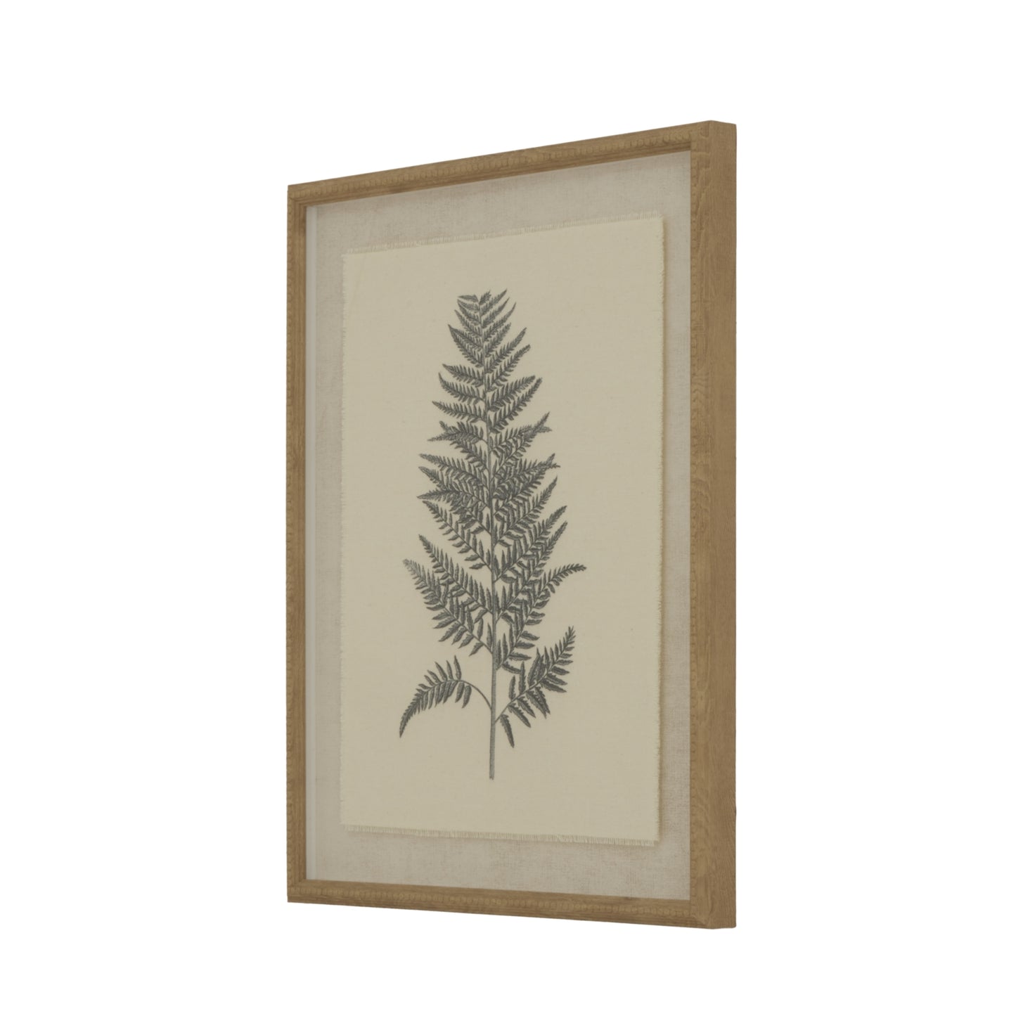 Flora Fauna Collection Beech Fern On Linen In Beaded Frame