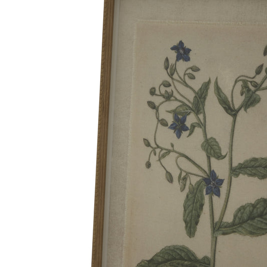 Flora Fauna Collection Borage On Linen In Beaded Frame