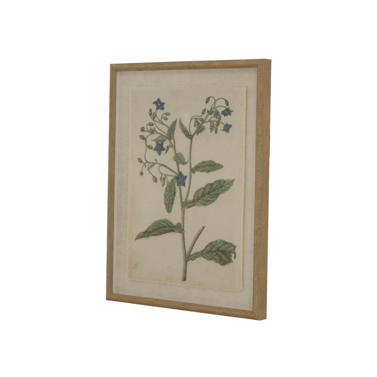 Flora Fauna Collection Borage On Linen In Beaded Frame