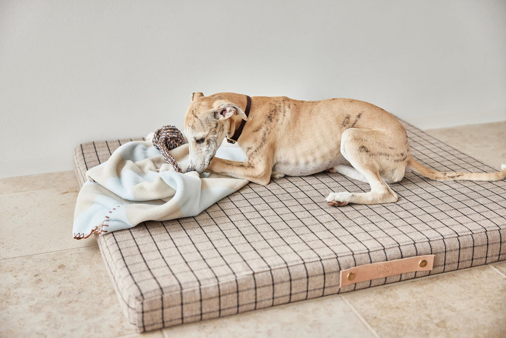 Kaya Dog Blanket - Large