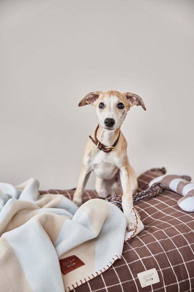Kaya Dog Blanket - Large
