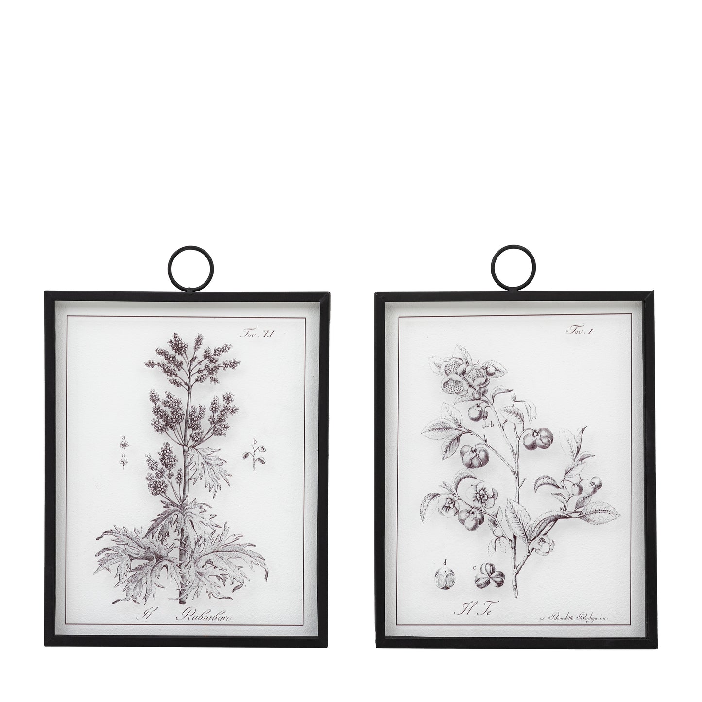 Foliage II Art Set of 2