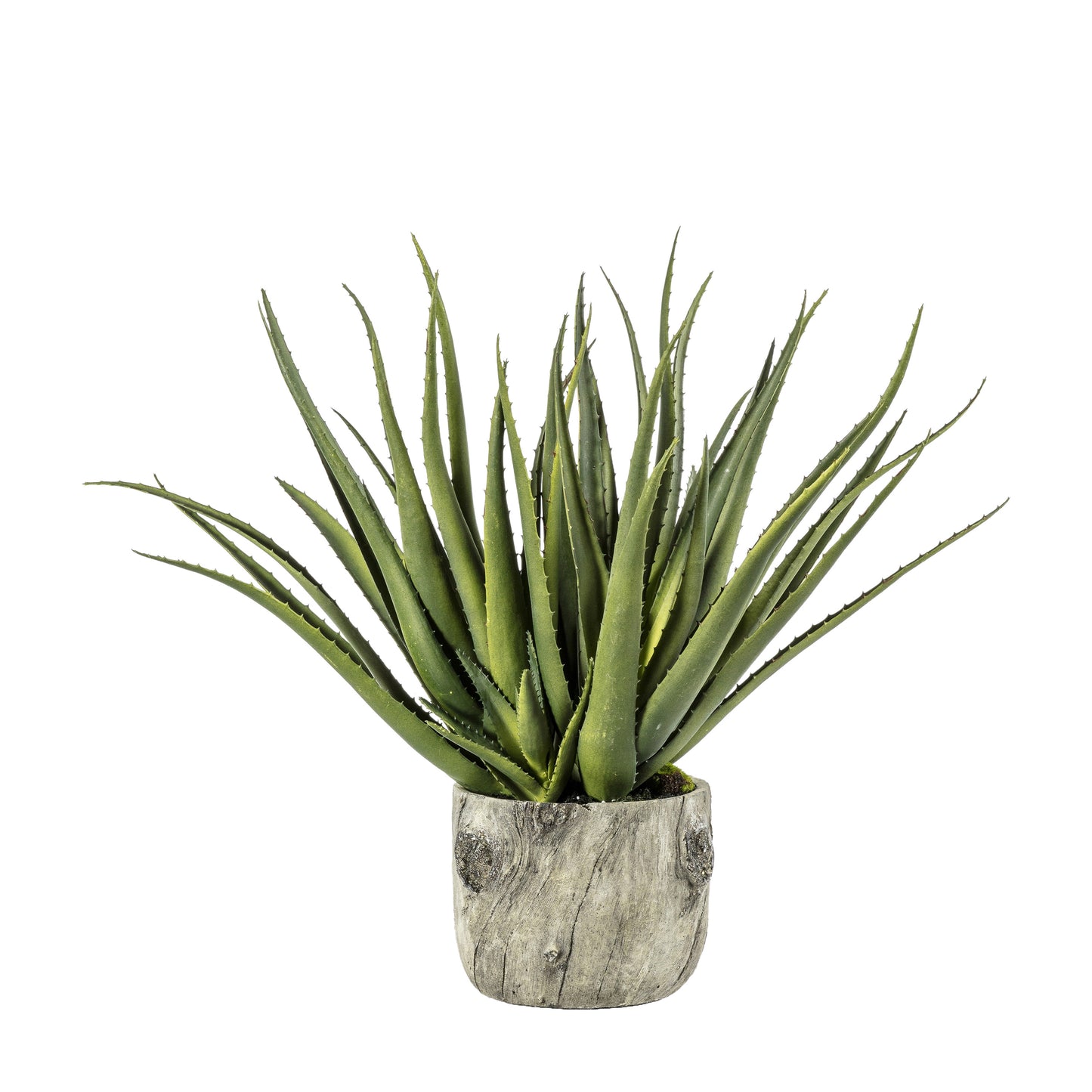Faux Aloe in Pot