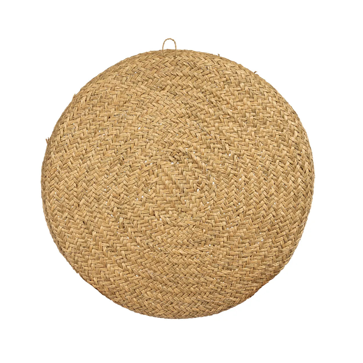 The Caribe Shell Plate - Natural White - M_40