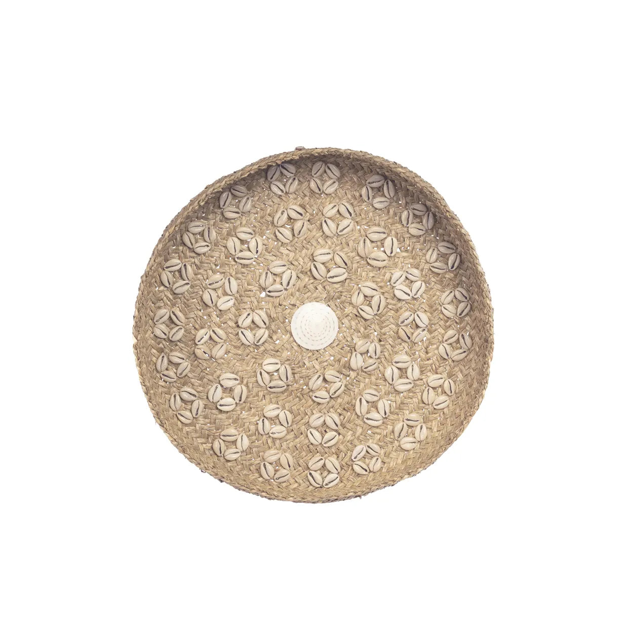 The Caribe Shell Plate - Natural White - M_40