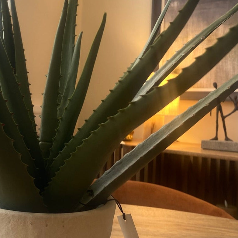 Potted Faux Aloe Vera