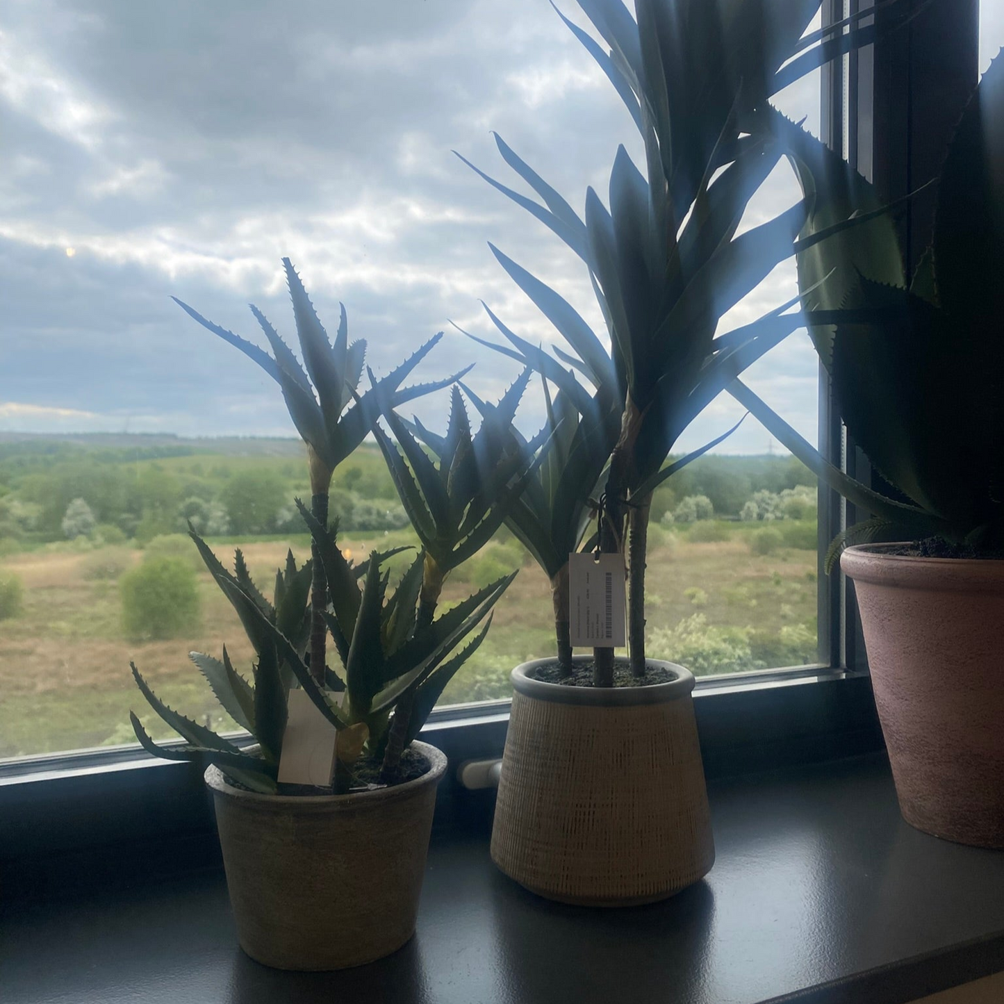 Potted Faux Aloe