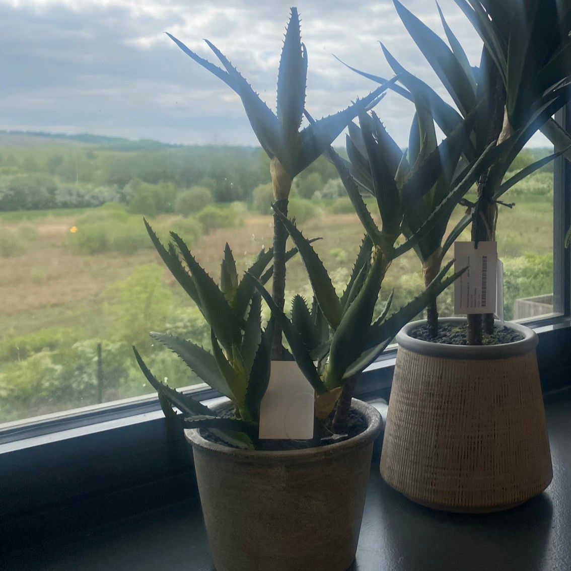 Potted Faux Aloe