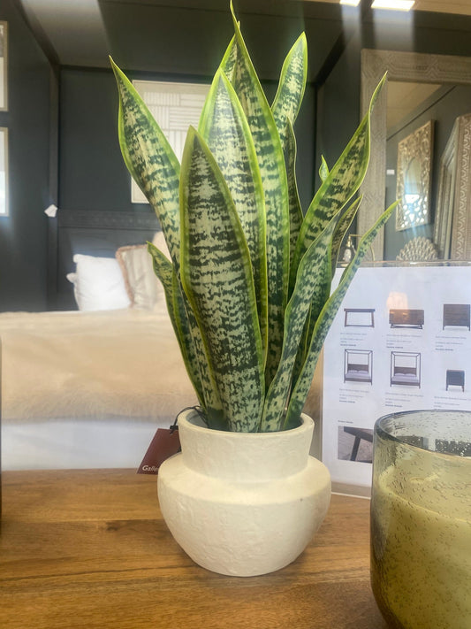 Potted Artificial Snake Plant