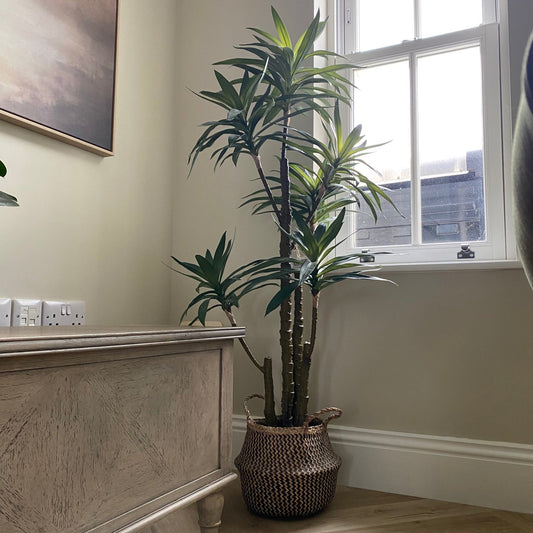 Large Yucca Tree with 6 Heads - FAUX - Gallery Direct -