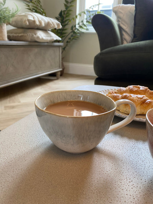 Caspian Reactive Mug Duck Egg Set of 4