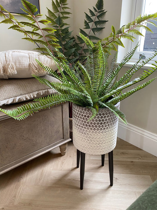 Potted Artificial Fern Small