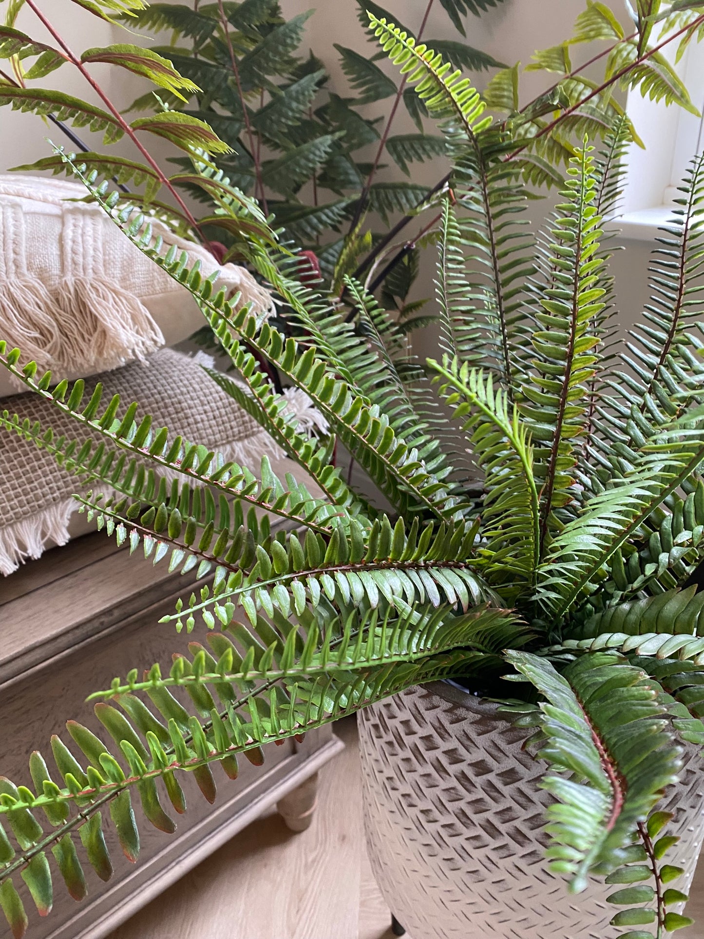 Potted Artificial Fern Small