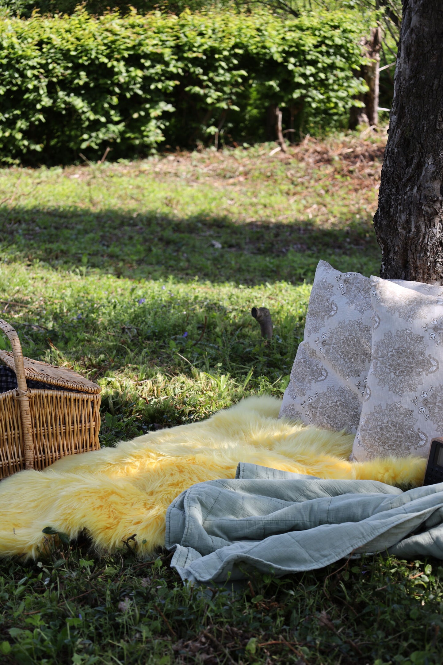 New Zealand Sheepskin Long Wool Rug/Throw Lemon