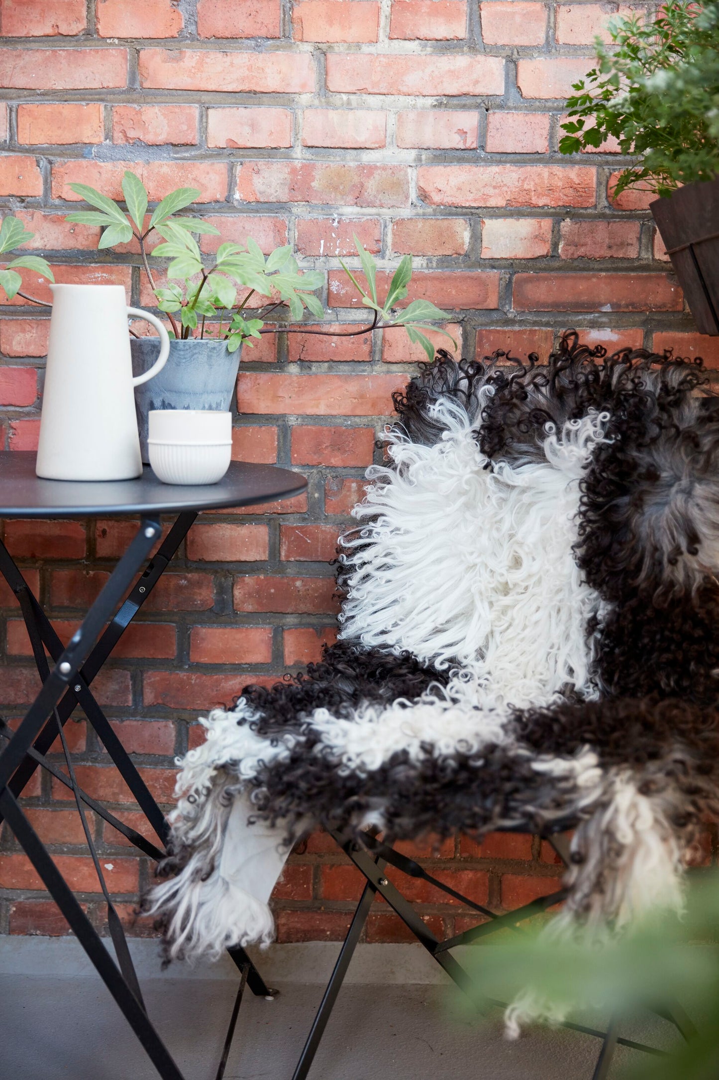 Austrian Curly Sheepskin Rug/Throw Mix