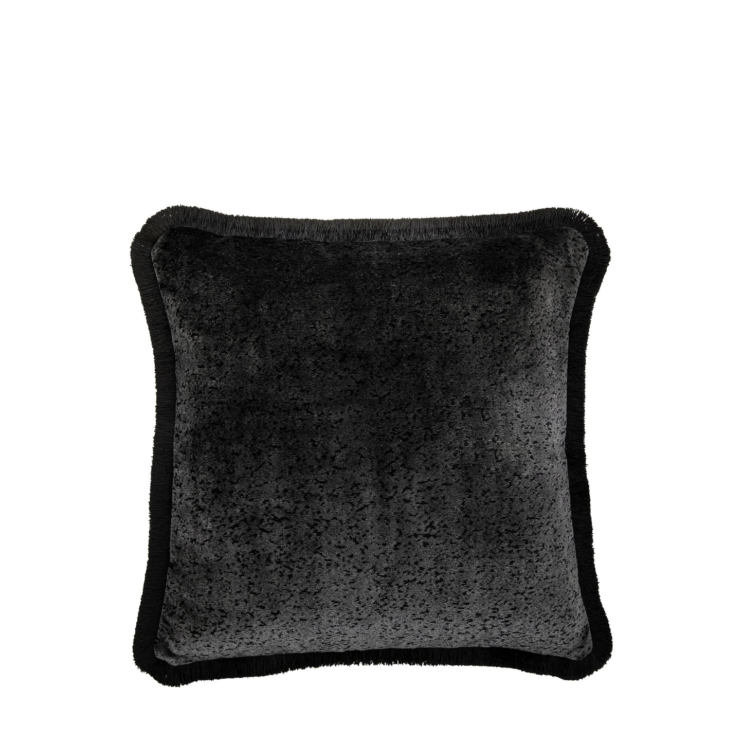 Vale Velvet Cushion Black
