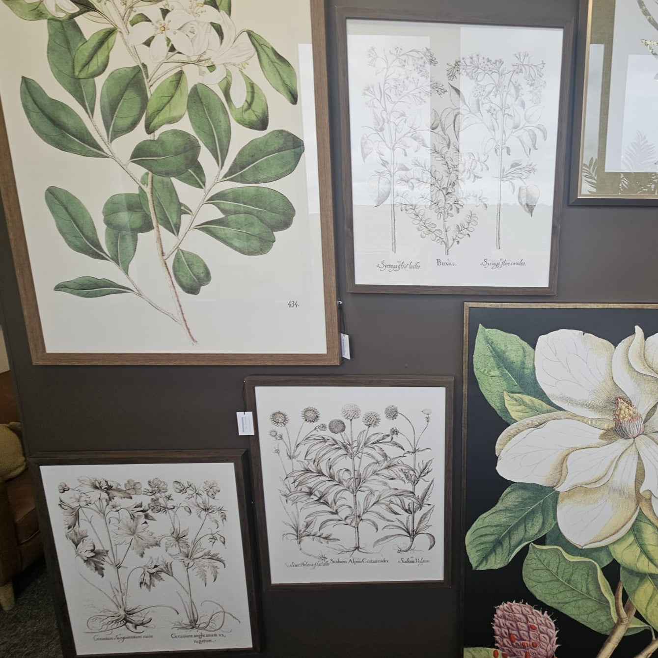 Foliage I Framed Art Set of 3