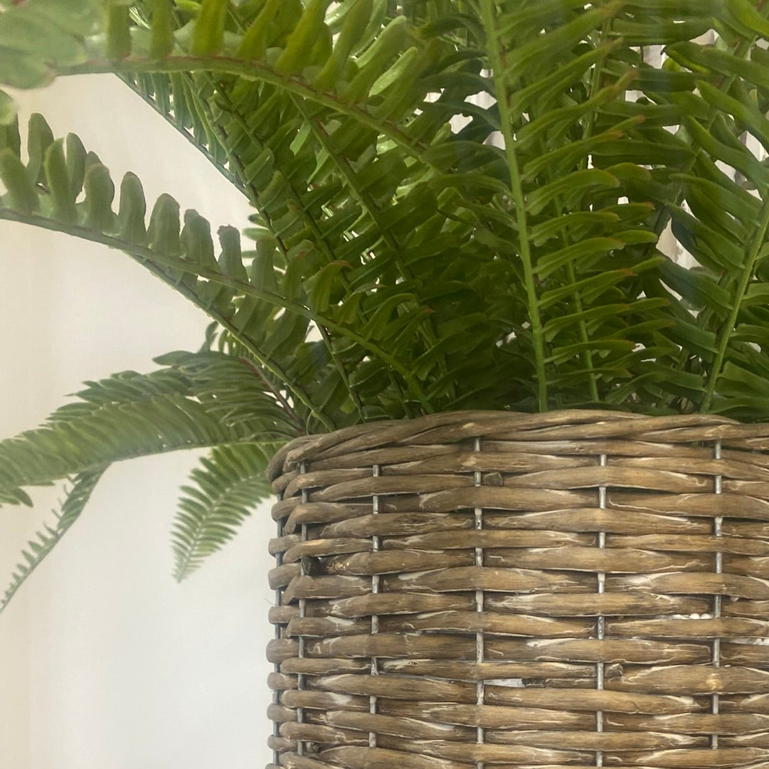Potted Artificial Fern Large