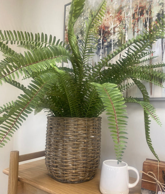 Potted Artificial Fern Large