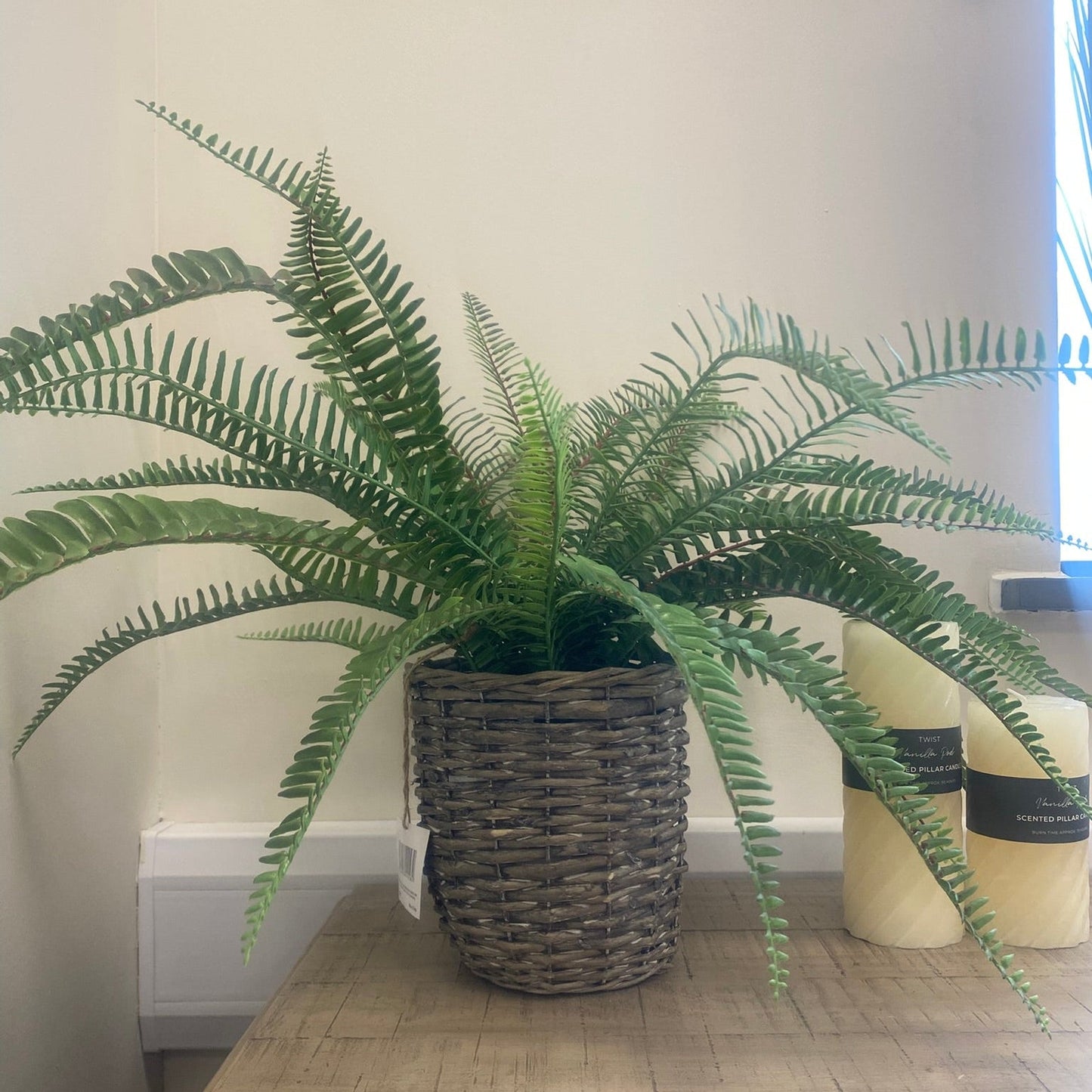 Potted Artificial Fern Small