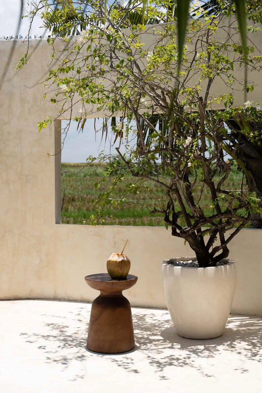 The Wakatobi Side Table - Natural