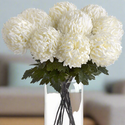 Large White Chrysanthemum