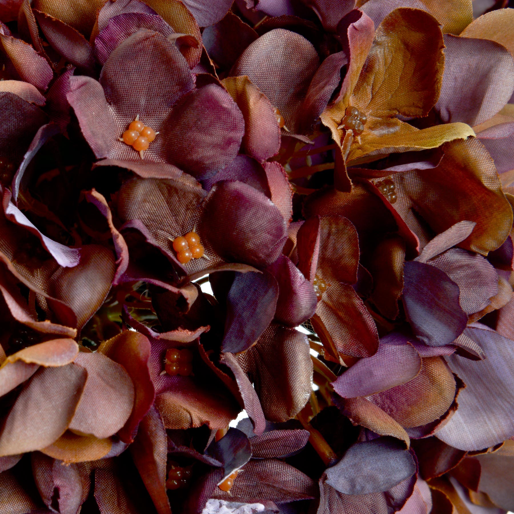 Anastasia Coffee Hydrangea -  - Hill Interiors -