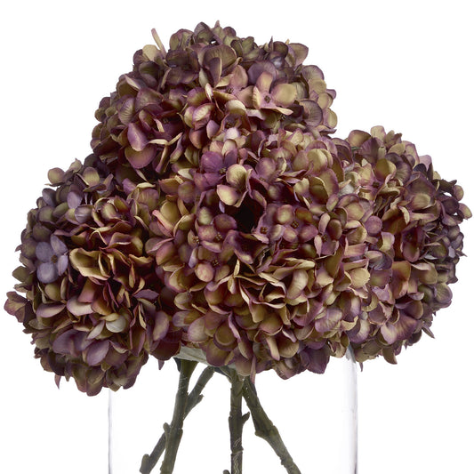 Anastasia Burgundy Hydrangea