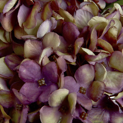 Anastasia Burgundy Hydrangea -  - Hill Interiors -
