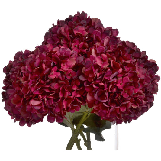 Anastasia Ruby Hydrangea