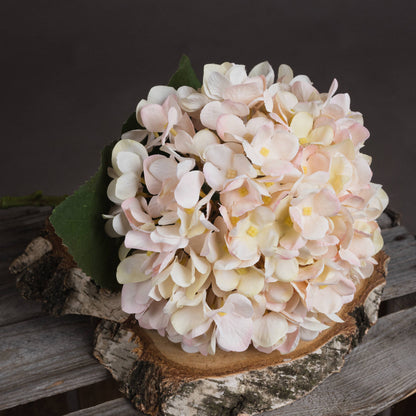 Anastasia White Hydrangea -  - Hill Interiors -