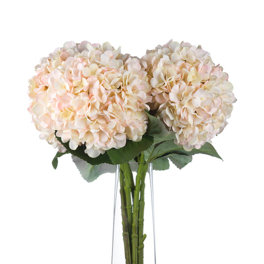 Anastasia White Hydrangea
