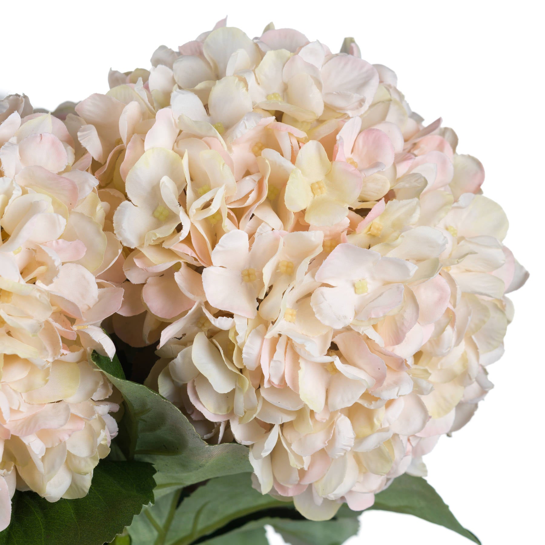 Anastasia White Hydrangea -  - Hill Interiors -